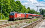 91 81 1293 049 | 20260614 | A�ling  