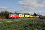 �BB 1293 024 mit Sattelaufliegern bei Eglharting, 29.10.2026