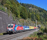 An einem wunderschönen Oktobertag fotografierte ich den von der 1293 203 und der 383 007 traktionieren,  farbenfrohen Containerzug 42529 von Břeclav nach Tarvisio Boscoverde zwischen dem
