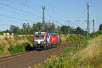 Am 02.08.26 rollte 1293 203 der CT-Train Lz durch Wurzen Richtung Leipig.