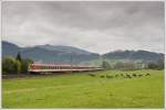 4010 009 mit Steuerwagen 6010 009 voraus als SLP 14267 von Bischofshofen nach Timelkam, am 5.10.2010 kurz nach Radstadt.