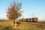 Schnellbahnzug 21038 fährt in der bereits tiefstehenden Novembersonne seinem nächsten Halt in Tullnerfeld entgegen. Die Aufnahme enstand am 06.11.2020.