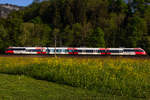 Eine blühende Wiese im schönen Abendlicht mit dem  Kultur am Zug  4024 019-4 kurz hinter Altach