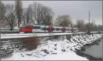 Eine Ente auf dem Weg nach Bludenz auf dem Bodenseedamm bei Lindau. (02.12.2010)