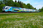 Westbahn 4110 025 am 5.