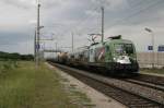 Die 1116 264  Euromotion  durchfhrt in langsamer Fahrt am 18.05.08 den Bahnhof Wiener Neustadt Civitas Nova.