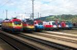 Aus Richtung Nord betrachtet: Der rechte Teil der EM-Lok-Parade in Wrgl Hbf am 24. August 2008. Vielleicht nicht so akribisch genau aufgestellt wie in Wien-Httelsdorf, aber nicht die Wirkung verfehlend... 