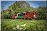 Da flitzt er dahin ,.. 
Der ET 2 , zwar nicht mit einem Höllen Tempo aber immer noch zu schnell für den langsamen Fotografen . 

Gänseblümchen am 22.04.2019