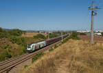 Südlich von Mödling hat man einen Blick auf Wien und die Berge im 19. Wiener Bezirk. Am 08.09.2023 kam Railjet 653 aus Wien mit 1116 231 an der Spitze und war auf dem Weg nach Graz.