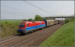 1116 013 hatte am 01.Mai 2013 die Ehre den Audi-Zug GAG 47126 von Hegyeshalom nach Passau zu bespannen.