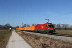 1016 040 mit einem Containerzug auf dem Weg nach Salzburg am 3.