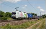 1116 130  frontrunner  fhrte am 29. Juni 2013 den KGAG 40633 von Wien Nordwestbahnhof nach Sopron, aufgenommen kurz vor Pottendorf. Es ist zugleich mein restes Foto dieser schnen Lok.