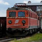 Die Elekotrolokomotiven 1010 004-8 aus dem Jahr 1955 war Mitte August 2020 im Lokpark Ampflwang zu sehen.