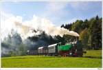 GEG-Dampflok WTK4 (ex. BB 392.2530) fhrt auf der Museumsstrecke von Timelkam nach Ampflwang. 4.10.2009.