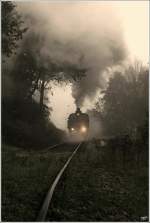 Dampflok WTK 4 der GEG fhrt mit einem Fotogterzug von Ampflwang nach Timelkam.