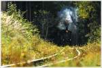 Goldener Herbst - Ex StLB Kh 101 dampft auf der Feistritztalbahn von Weiz nach Birkfeld.  
Im Lehen 18.10.2014