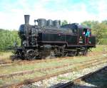 Die 331.037 des Eisenbahnmuseums Bratislava war am 4.10.09 zu Gast im Heizhaus Strasshof.