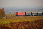 Die 2143.070 mit ihrem Zug in den Retzer Weinbergen.