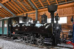 Die Dampflokomotive  Thörl  wurde im Jahr 1893 bei Krauss in Linz gebaut.