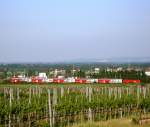 Eine 1116 schiebt am 17.5.09 einen Dosto-Wendezug zwischen Pfaffst�tten und Gumpoldskirchen. 