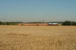 EM-Lok Russland 1116 084-3 passiert mit R3009 Attnang-Puchheim - Linz die Getreidefelder bei Lambach (28.07.2008)
