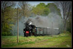 Dampflok 498.04 fährt auf der Steyrtalbahn mit dem  1. Mai Zug  von Steyr nach Grünburg.  Rosegg 01.05.2019