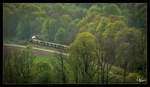 Dampflok 498.04 fährt auf der Steyrtalbahn mit dem  1. Mai Zug  von Steyr nach Grünburg. Aschach an der Steyr 01.05.2019