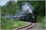 Dampflok  Klaus  (298.106) mit einem Sonderzug von Steyr nach Grnburg, anlsslich der Feierlichkeiten 120 Jahre Steyrtalbahn, aufgenommen kurz vor Grnburg am 6.9.2009.
