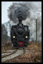 Teleaufnahme der 498.04 auf der Steyrtalbahn, aufgenommen nahe Rosenegg.