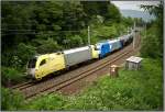 Dispolok ES64 U2-017 und LTE 1216 910 fahren mit Kesselwagenzug 48431 von Gro Schwechat nach Koper. 
Zeltweg 11.06.2008