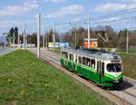 Graz 

Am 15.04.2013 war TW 279 noch fleißig in Graz unterwegs und konnte hier als Linie 5 beim Brauhaus Puntigam aufgenommen werden, aktuell bin ich bei der Überlegung nach Braila zu schauen um paar Bilder von diesem TW zu machen!