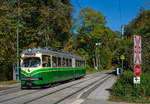 Graz 

TW 267 auf der TMG Shuttlelinie Mariatrost - Jakominiplatz, St. Johann, 12.10.2019. 