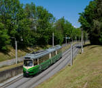 Graz     Graz Linien TW 501 als Linie 4 nach Liebenau, Grazer Straße, 27.05.2020.