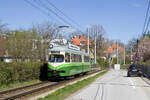 Am Ostersonntag, dem 17. April 2022 ist TW 293 als Oster - Bim unterwegs und ist hier zwischen Kroisbach und Mariagrün zu sehen. 