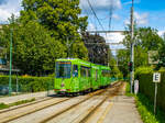 Graz. Triebwagen 604 der Graz Linien, bahnt sich hier am Nachmittag des 23.05.2024 durch das Mariatroster Tal und erreicht gerade die Haltestelle Wagnesweg.