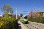Die ersten  Flexity  sind in Graz bereits geliefert, noch liegt aber keine Zulassung f�r den Fahrgastbetrieb vor. Deshalb drehen die 500er sowie die Cityrunner, die von den Neufahrzeugen ersetzt werden sollen nach wie vor ihre Runden durch die Stadt. Am 8. April 2025 war TW 506 auf der Linie 6 unterwegs und ist hier am Breitenweg unweit der Haltestelle Prof.-Franz-Spath-Ring zu sehen. 
