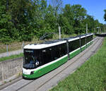 Ebenerst der �ffentlichkeit vorgestellt, und auf den Namen  Theodora  getauft, war Flexity Graz 541 Ende Mai 2026 als Fahrschule seine Runden und wurde von mir am Sch�ckelbachweg fotografiert. 