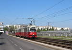 Wien Wiener Stadtwerke-Verkehrsbetriebe / Wiener Linien: Gelenktriebwagen des Typs E1: Motiv: E1 4538 + c4 1310 als SL 6.