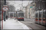 Die Wiener Linien am 9 .
