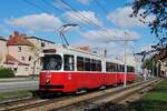 Wien: E2 4086 + c5 1486 in der Neilreichgasse auf der Talfahrt zum Fr�denplatz. (03.05.2026)