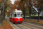 Am 10.10.2026 fuhr der Typ F mit der Nummer 711 f�r eine private Gruppe durch das herbstliche Wien hier in der bunten Allee am Franz-Josef-Kai.