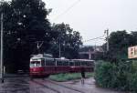 Wien Wiener Stadtwerke-Verkehrsbetriebe (WVB) SL 60 (E1 4717 (SGP 1969)) in Rodaun am 1. August 1972. Der 60er kommt in der Endstation an. - Scan eines Diapositivs.