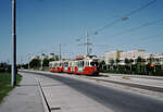 Wien Wiener Stadtwerke-Verkehrsbetriebe (WVB) SL 25 (E1 4494 (Lohnerwerke 1969)) XXI, Floridsdorf, Leopoldau, Kürschnergasse im Juli 1977.