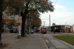 Wien Wiener Linien SL 31 (E1 4775) Franz-Josefs-Kai / U Schottenring am 19. Oktober 2010.