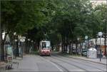 Unterm Blätterdach -    Eine Straßenbahn vom Typ ULF erreicht die Haltestelle Schottenring.