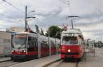 1. Juli 2022 - letzter Betriebstag der Typen E1 + c4 im Planverkehr:
Als allerletzter Planzug warten E1 4862 + c4 1360 neben dem Ulf B1 740 in Stammersdorf unter grosser Anteilnahme von Fans und Fotografen auf die Abfahrt zum Btf. Floridsdorf.