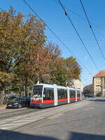 Am 04.10.2018 war der Herbst in Wien schon deutlich sichtbar, als A1 84 auf Linie 62 von der Oper nach Lainz unterwegs war.