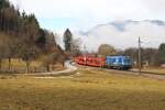 Die 1116 276 "30 Jahre in der europäischen Union" fährt am 11.3.2025 mit einem leeren Autozug von Villach Süd Gvbf nach Kornwestheim Rbf hier kurz vor dem Bahnhof Admont.