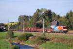 G�terzug 54685 mit der 1116 250 vorne drauf hat am  20.09.2010 Wartberg/Kr.