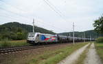 Die 187 344 "CD Cargo Niederlassung Wien" von Railpool ist am 30.08.2019 mit einem Güterzug Richtung Wels bei Wernstein am Inn unterwegs.